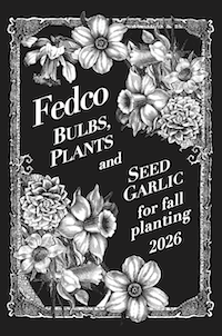fedco bulbs catalog cover