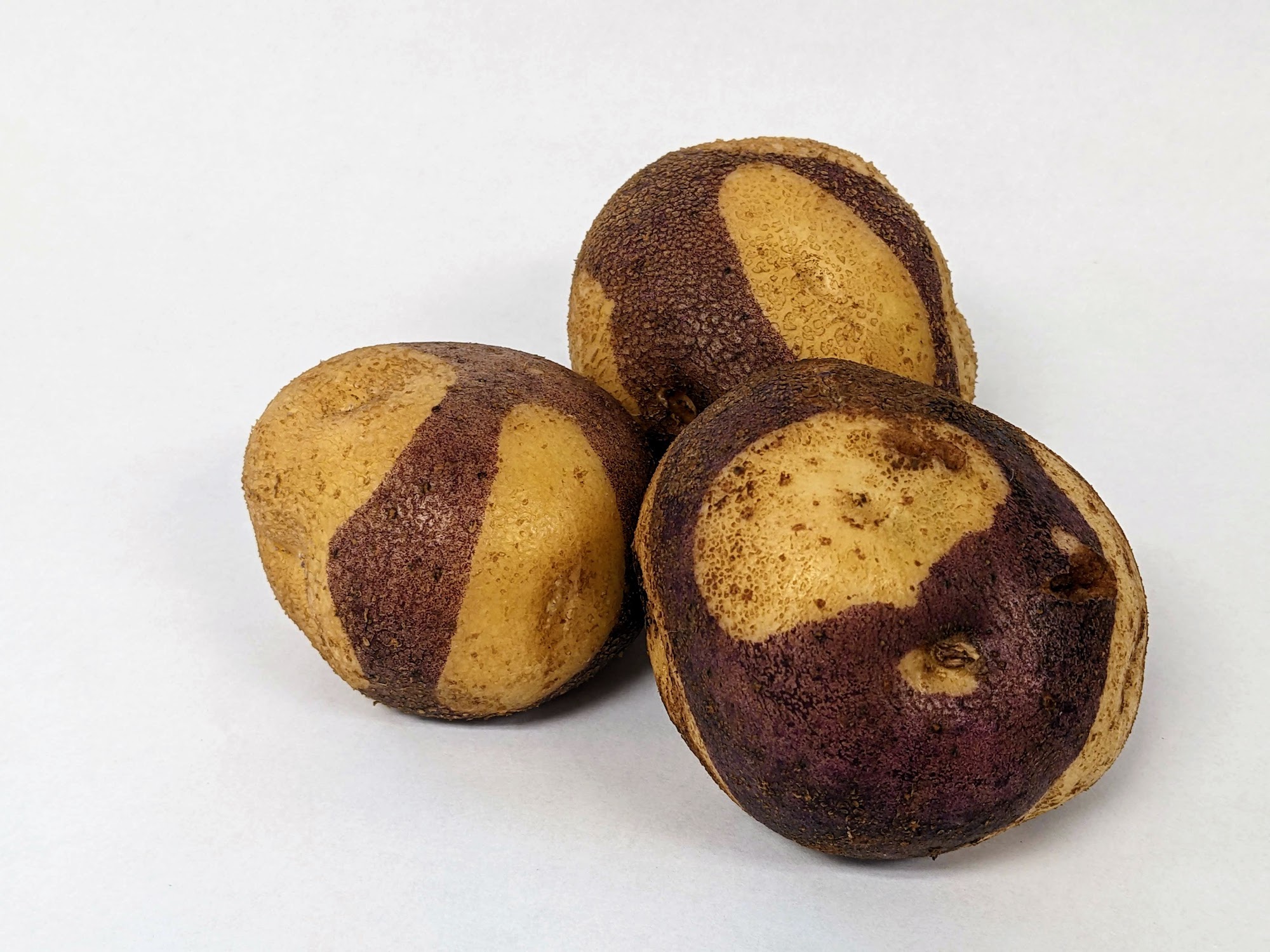 Specialty Potatoes