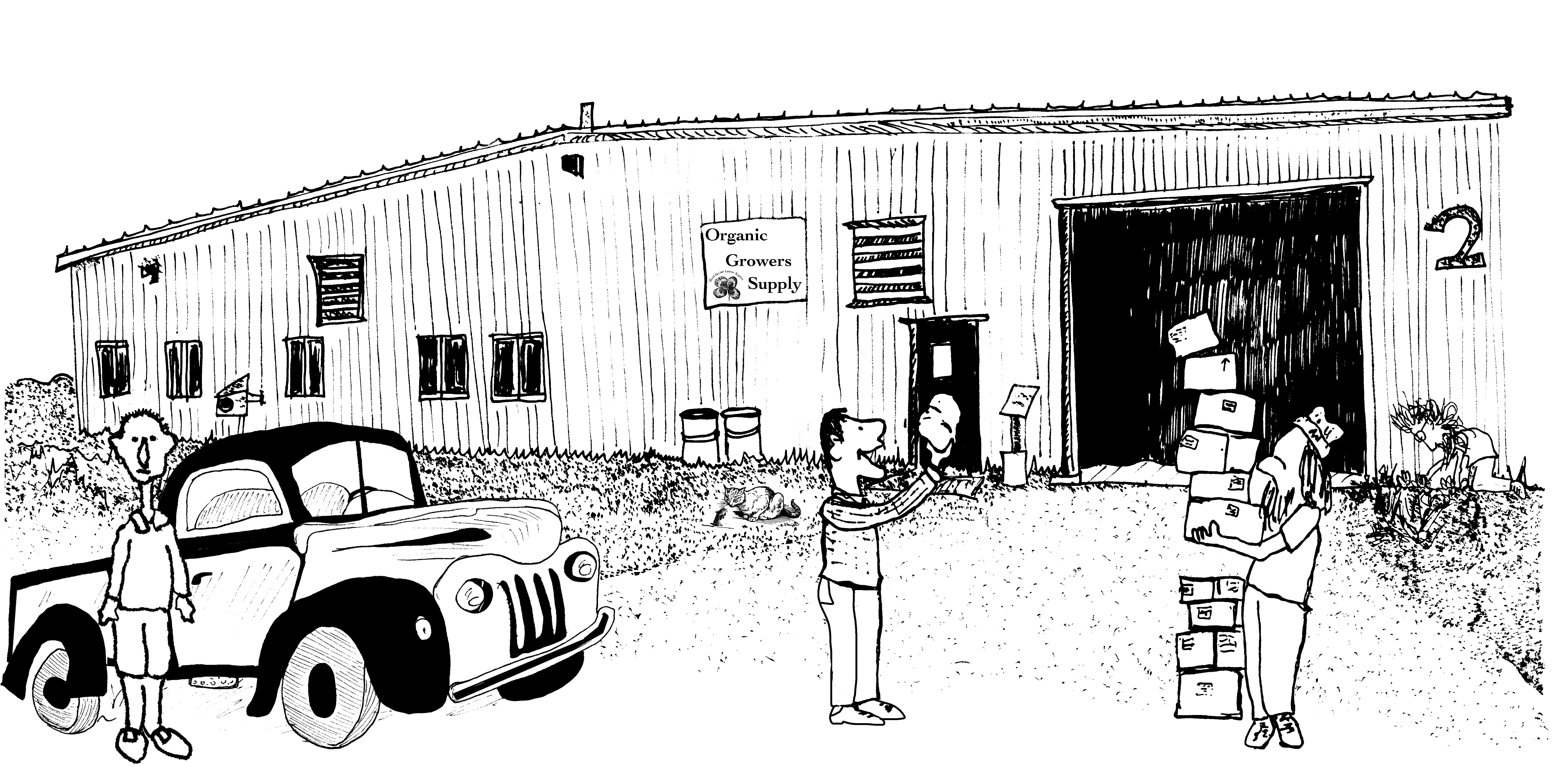 drawn representation of Fedco's retail storefront