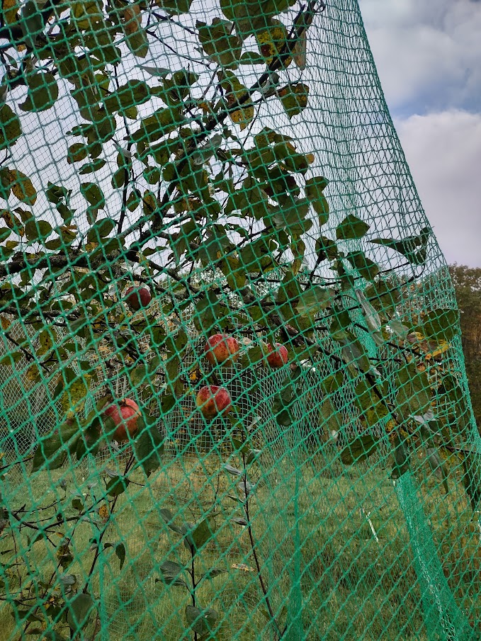 Bird Netting