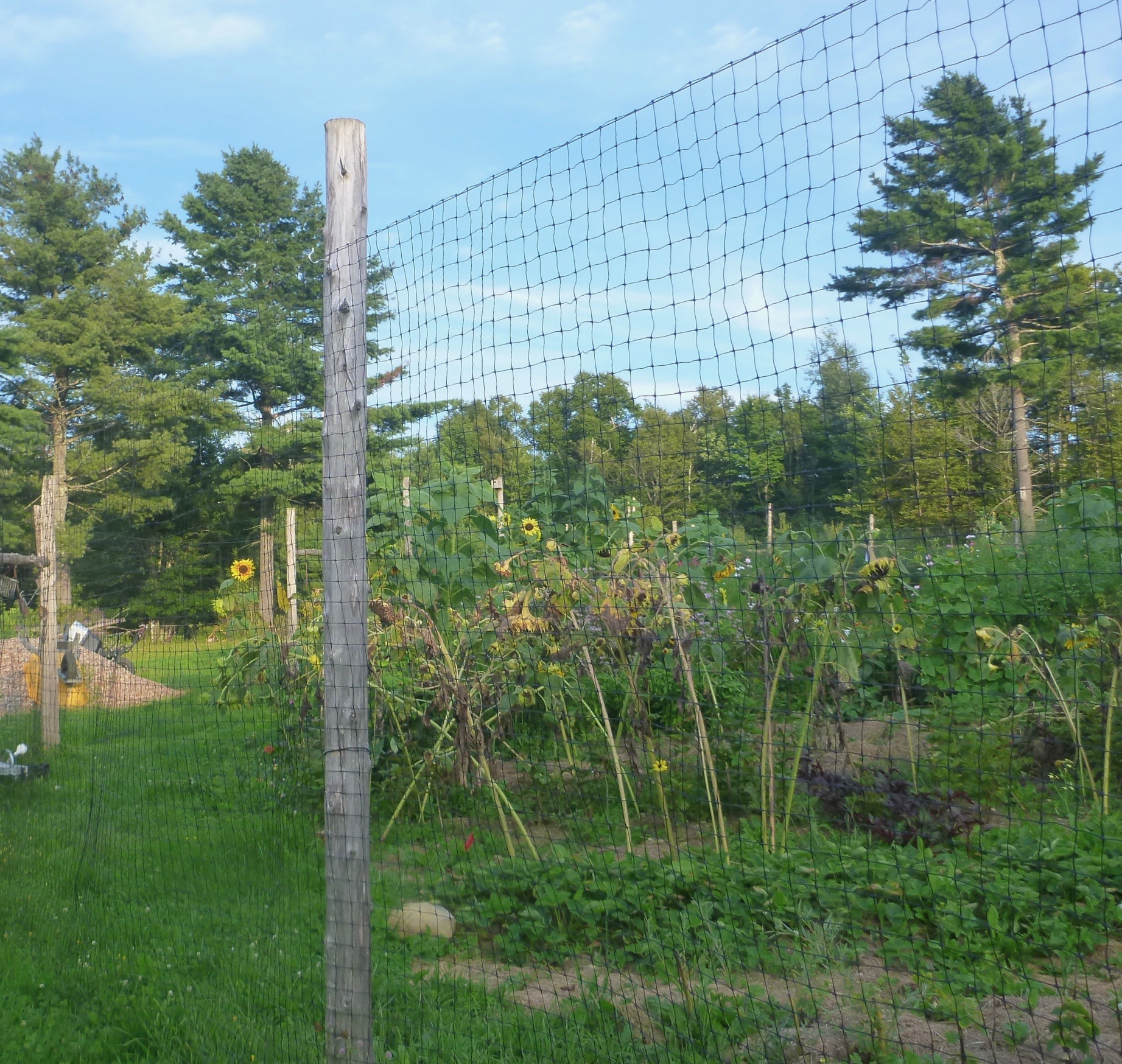 Deer Netting